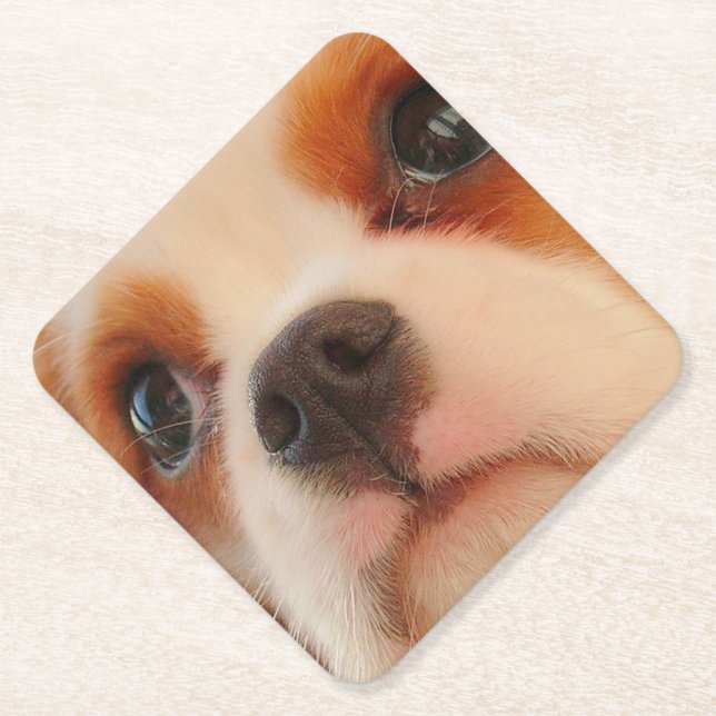 Porta-copo De Papel Face de Puppy (Frente)