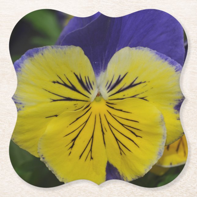 Porta-copo De Papel Flor pansível púrpura e amarela (Frente)