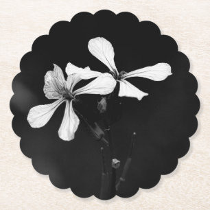 Porta-copo De Papel floral preto e branco minimalista
