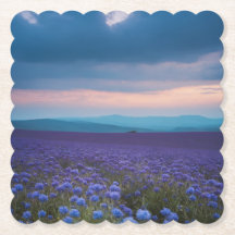 Flores selvagens roxas