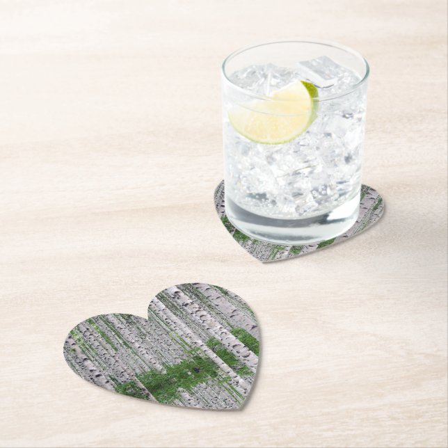 Porta-copo De Papel Floresta de Bétula Coaster de Papel da Natureza  (Insitu)