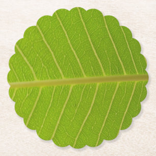 Porta-copo De Papel Folha Verde Natural e Design de Linha Amarela Clar