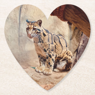 Porta-copo De Papel foto de leopardo nebuloso natureza vida selvagem e
