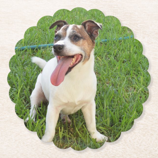 Porta-copo De Papel Fox Terrier, Língua Em Cheek, (Frente)