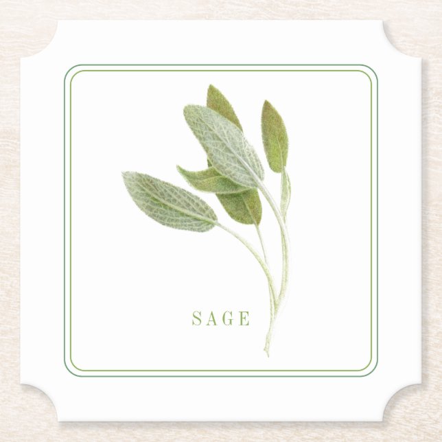 Porta-copo De Papel FRESH SAGE Ticket Paper Portas copos (+texto) (Frente)