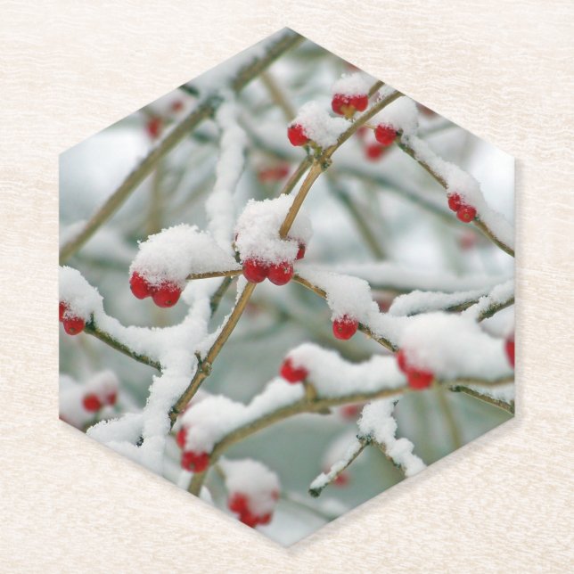 Porta-copo De Papel Frutas Vermelhas na Neve (Frente)