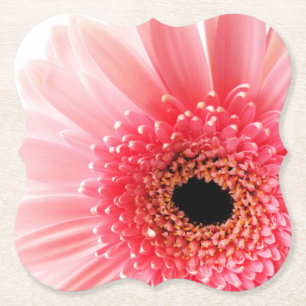 Porta-copo De Papel Gerbera Daisy Poster