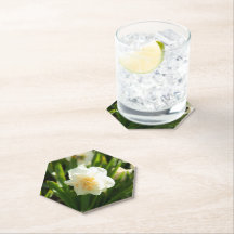 Grandes narcisos brancos em um dia de primavera 