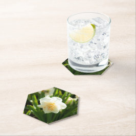 Porta-copo De Papel Grandes narcisos brancos em um dia de primavera 