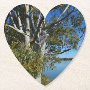 Porta-copo De Papel Koala Bear Dormindo Na Árvore De Goma.