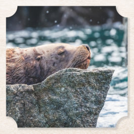 Porta-copo De Papel Leão-Do-Mar Na Baía De Ressurreição, Alasca