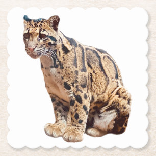 Porta-copo De Papel leopardo nebuloso fotografia selva grande gato ani