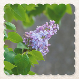 Porta-copo De Papel Lilac Beauty