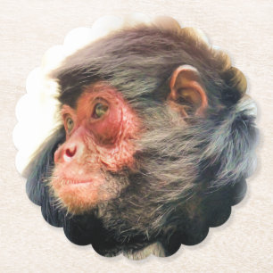 PORTA-COPO DE PAPEL MACACA DE ARANHA