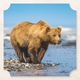 Porta-copo De Papel Mamãe urso observando seus dois filhos