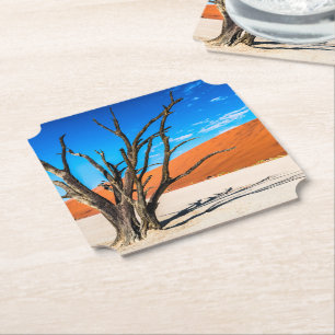 Porta-copo De Papel Morto em Deadvlei, Namíbia
