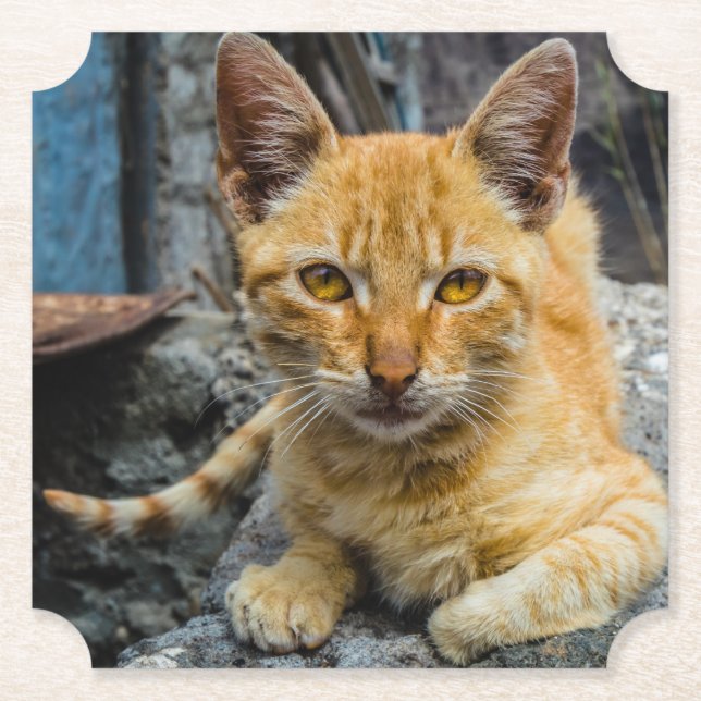 Porta-copo De Papel Olhos de ouro (Frente)