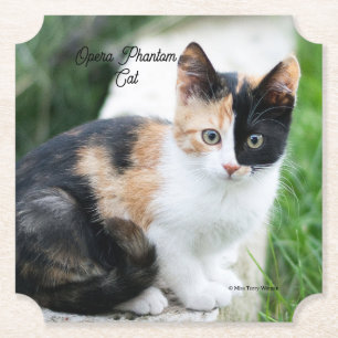 Porta-copo De Papel Ópera - Fantasma