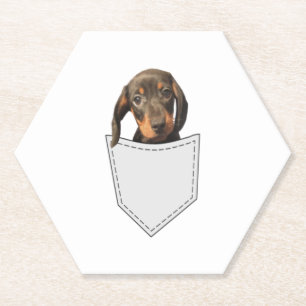 Porta-copo De Papel Pocket Dog Dachshund