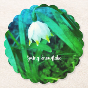 Porta-copo De Papel Primavera Snowflake Leucojum vernum Flor