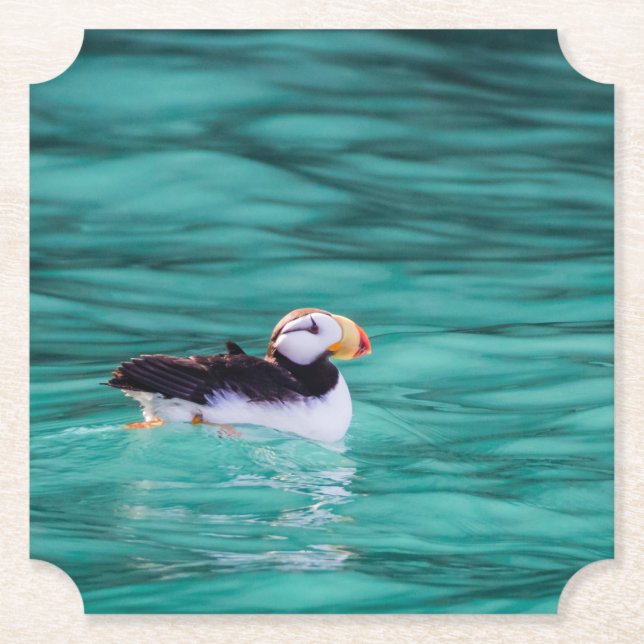Porta-copo De Papel Puffin In Resurrection Bay, Alaska (Frente)