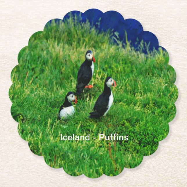 Porta-copo De Papel Puffins Islandeses (Frente)