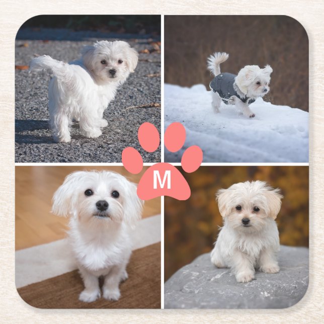 Porta-copo De Papel Quadrado 4 Pinças Pet Dog Foto Rosa Personalizadas Monogram (Frente)