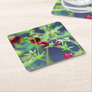 Porta-copo De Papel Quadrado A Abelha Com Flor Vermelho