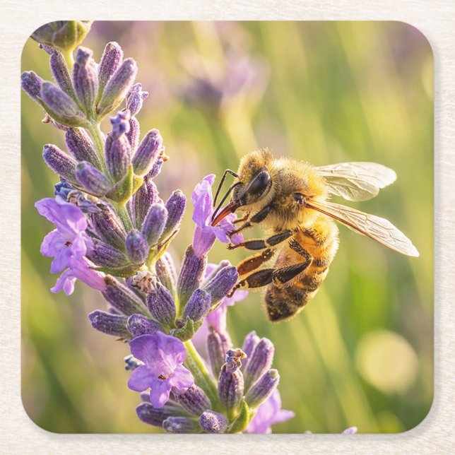 Porta-copo De Papel Quadrado Abelha na Lavanda (Frente)