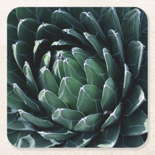 Porta-copo De Papel Quadrado Agave verde