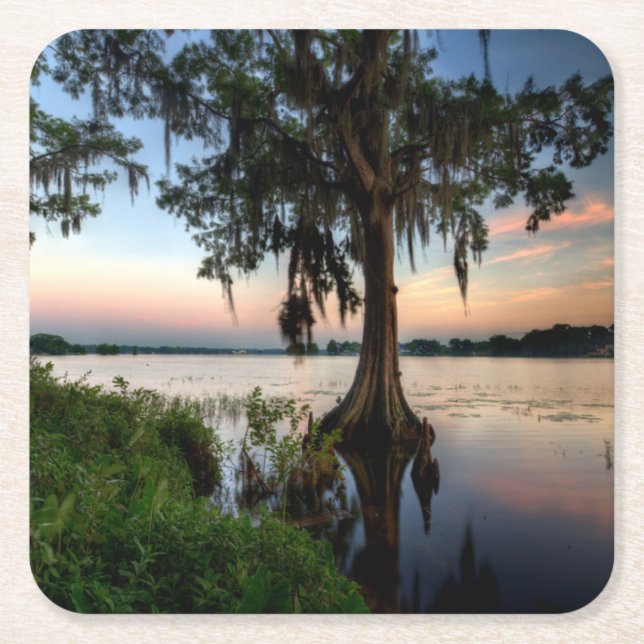 Porta-copo De Papel Quadrado Água | Kraft Azalea Park Maitland Florida (Frente)