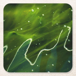 Porta-copo De Papel Quadrado Algas verdes e litoral aquático