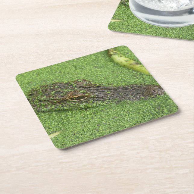 Porta-copo De Papel Quadrado Alligador (Inclinado)