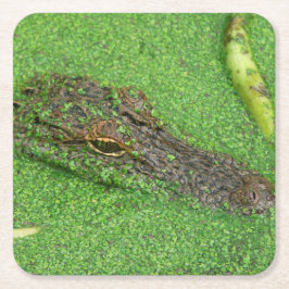 Porta-copo De Papel Quadrado Alligador