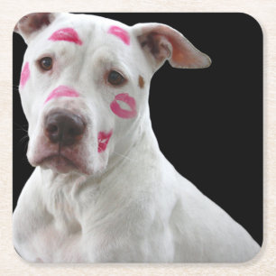 Porta-copo De Papel Quadrado american pit bull terrier com beijos