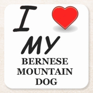 Porta-copo De Papel Quadrado amor do cão da montanha de bernese
