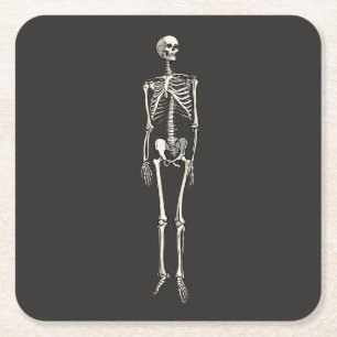 Porta-copo De Papel Quadrado Anatomia do Esqueleto Humano Desenho de Arte Pop C