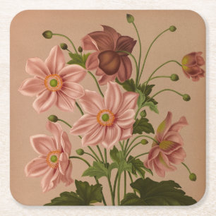 Porta-copo De Papel Quadrado Anêmona Japonica Rosea Exquisita Botânica Vintage