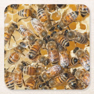 Porta-copo De Papel Quadrado Apicultura na Arlo's Honey Farm
