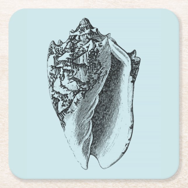 Porta-copo De Papel Quadrado Aqua Conch Shell (Frente)