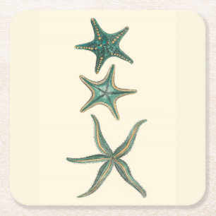 Porta-copo De Papel Quadrado Aquamarine Triple Starfish