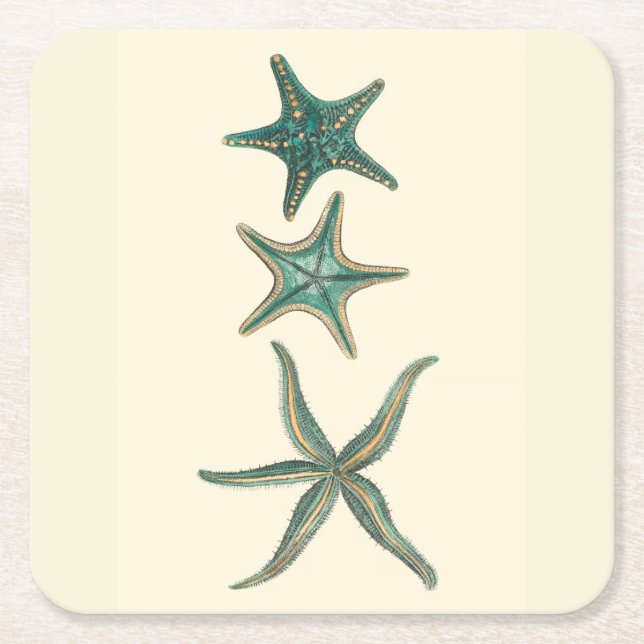 Porta-copo De Papel Quadrado Aquamarine Triple Starfish (Frente)