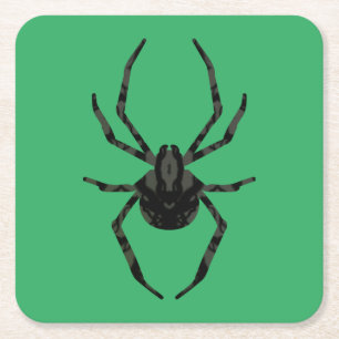 Porta-copo De Papel Quadrado Aranha Velha Comum