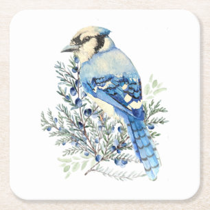 Porta-copo De Papel Quadrado Arte Country Azul do Pássaro Grão-de-bico Azul Aqu