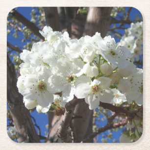 Porta-copo De Papel Quadrado Árvore de florescência do primavera das flores I