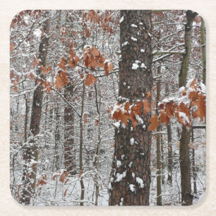 Porta-copo De Papel Quadrado Árvores de carvalho cobertas por neve Fotografia