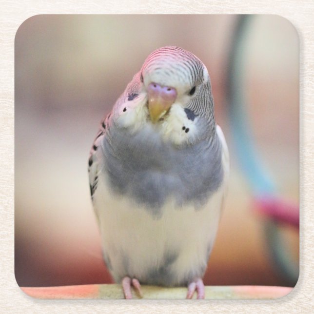 Porta-copo De Papel Quadrado Azul (Frente)