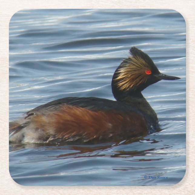 Porta-copo De Papel Quadrado B1 Grebe ao Fundo (Frente)