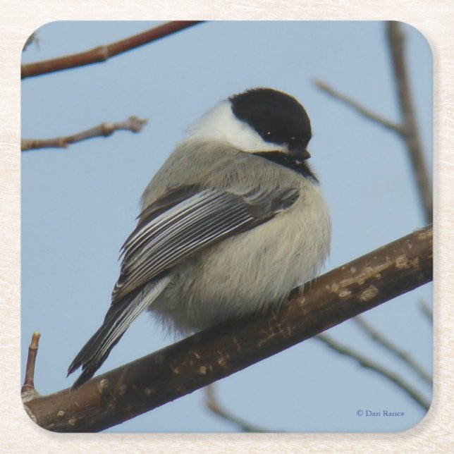 Porta-copo De Papel Quadrado B21 Frango com tampão preto (Frente)
