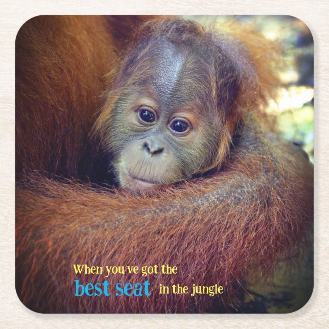 Porta-copo De Papel Quadrado Baby Orangutan (Frente)